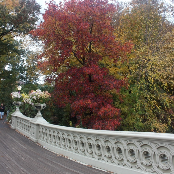 Meet your Posher, Ruby - Picture 1 of 1